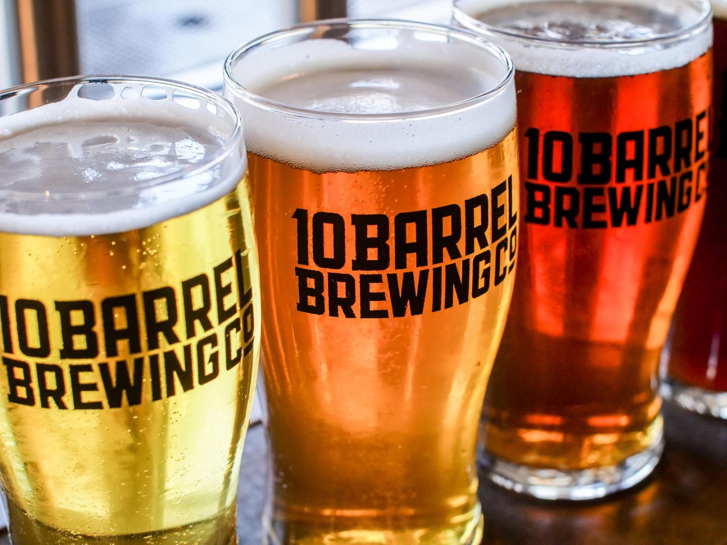 Degustación de cervezas artesanales con barriles al fondo